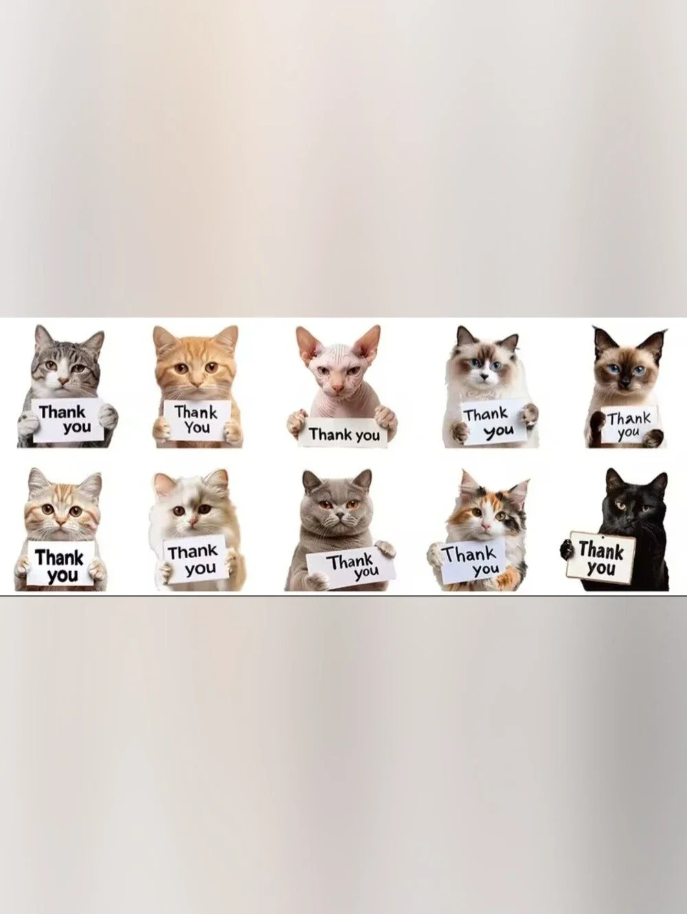 2/$13 Cute Cat Thank You Stickers 100Pcs